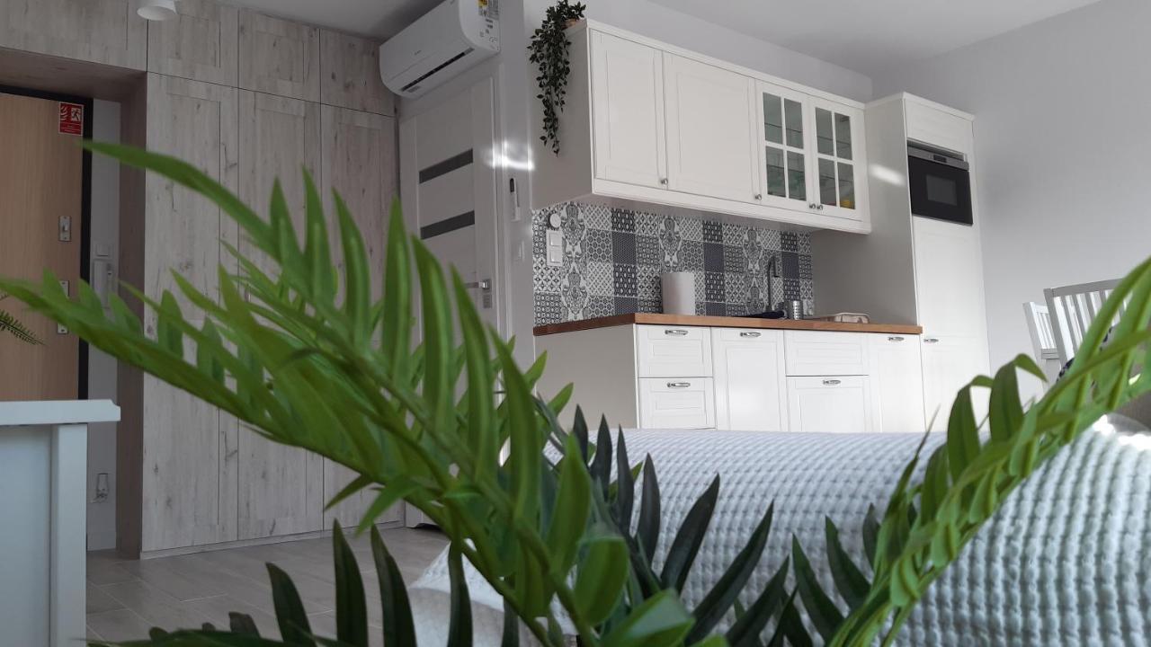 Apartament Biala Foczka Apartment Stegna  Ngoại thất bức ảnh